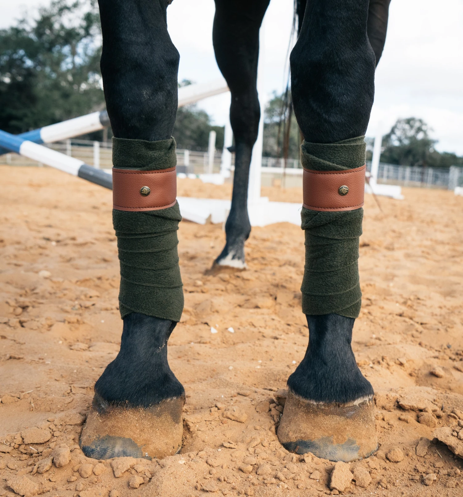 Sixteen Cypress Leatherette Polos, White 4 Sixteen Cypress Leatherette Polos, White - Image 2