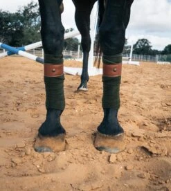 Sixteen Cypress Leatherette Polos, Camel & Cognac 7 Sixteen Cypress Leatherette Polos, Camel & Cognac -Farm House Tack Store sixteen cypress polos 4