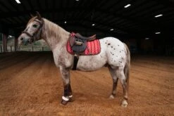 Sixteen Cypress Pony Jumper Pad, Derby Stripe -Farm House Tack Store sixteen cypress pony jumper pad derby stripe pink