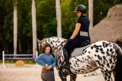 Tucker Tweed Stablemate Belt Bag 24 Tucker Tweed Stablemate Belt Bag -Farm House Tack Store tucker tweed equestrian stablemate 42849254506660