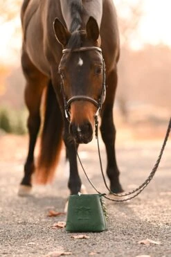 Tucker Tweed The Shetland 28 Tucker Tweed The Shetland -Farm House Tack Store tucker tweed equestrian the shetland large and small 44767926452388 1bde36da d34f 4e47 aee8 5951539e353b