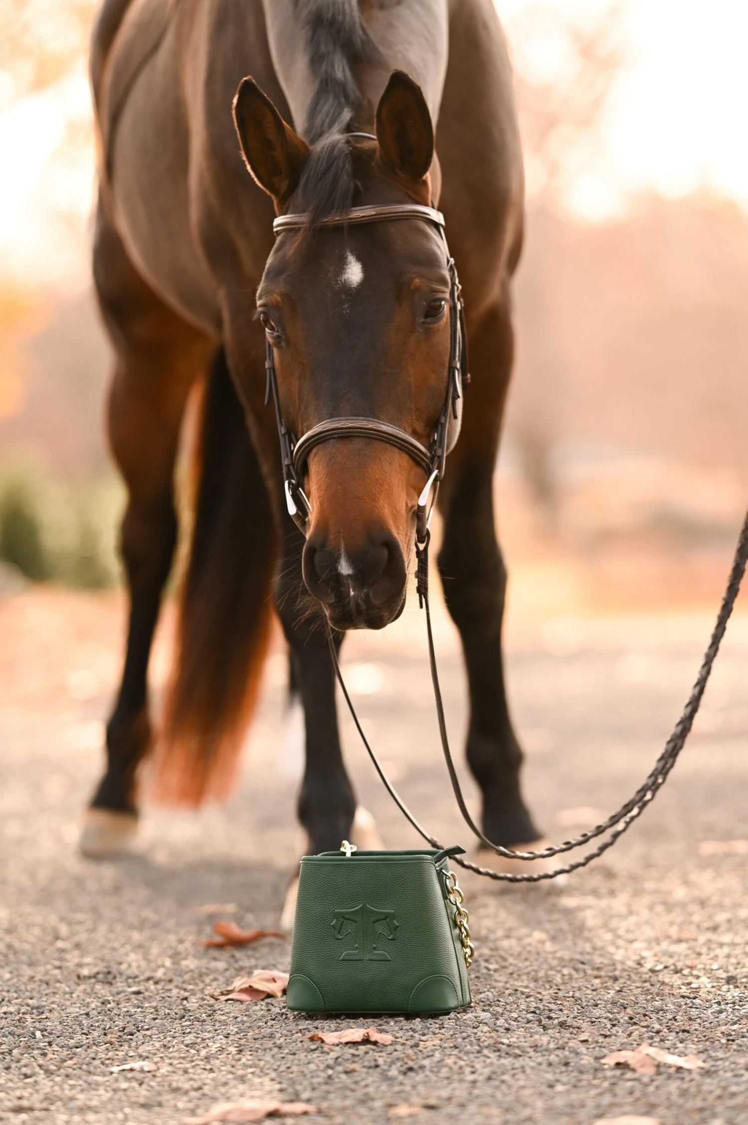 Tucker Tweed The Shetland 9 Tucker Tweed The Shetland - Image 7