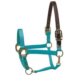 Perri's Premium Nylon Safety Halter -Farm House Tack Store turquoise 84378.1588257174.1280.1280