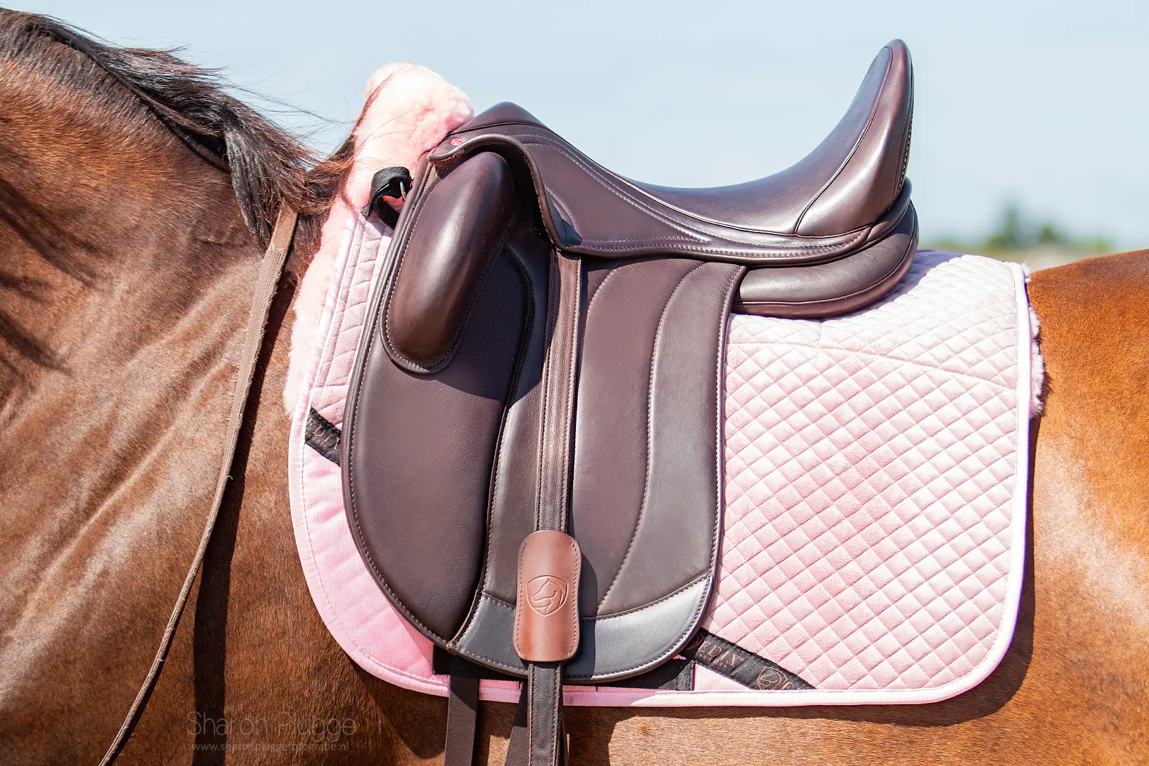 Farm House Tack Store -Farm House Tack Store 1.1945.1270 EDIX Ishya dressage saddle IMG 3403